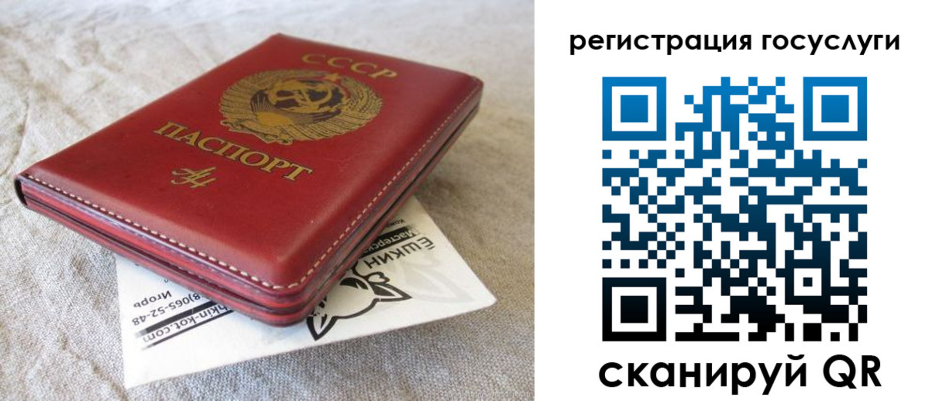 регистрация для школы в Бокситогорске