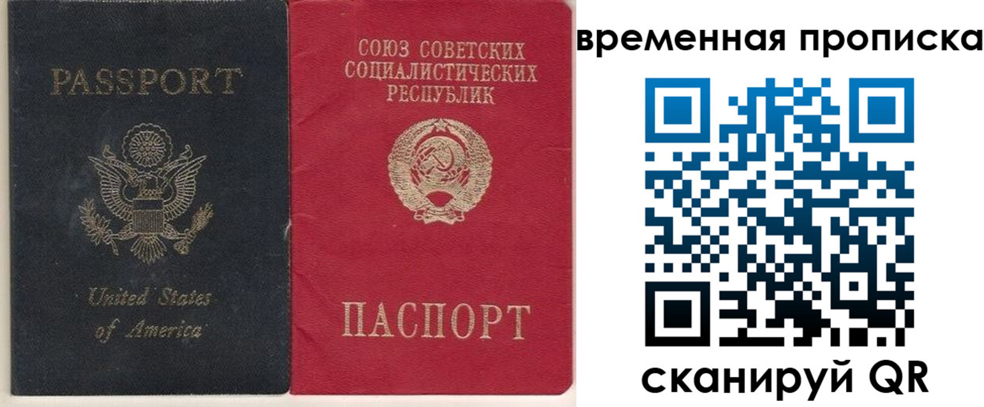 прописка для школы в Бокситогорске